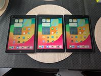 Apple iPad