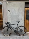Megamo West 10 - Medium