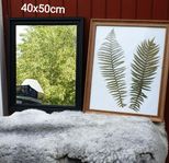 Svart spegel tavlor 50:-
