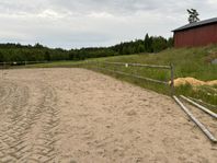 Häst staket