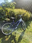 24 tum barncykel 