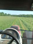 Hösilage 