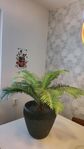 Svart kruka med plast palm