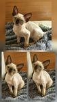 Devon rex pojke