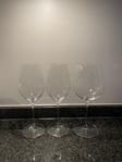 Riedel Pinot Noir och Champagne