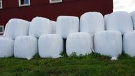 Hösilage