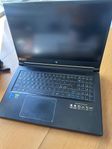 Acer Predator Helios 300 (PH317-55)