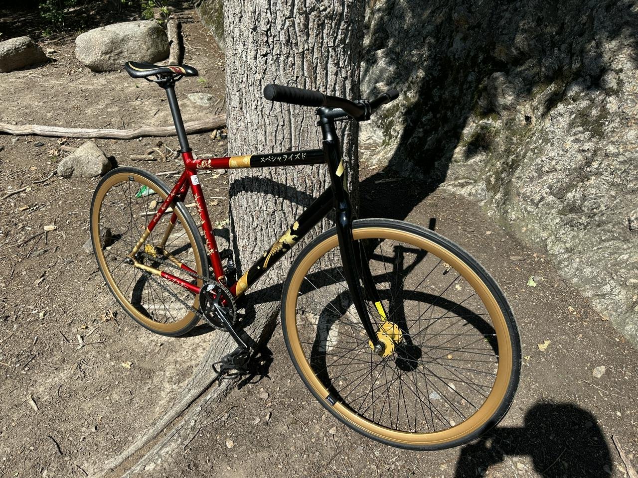  Singlespeed Specialized Lang...
