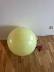 Fitness/träningspaket för hemmaträning, semester 