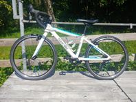Frog road 58 (20 tums racer)