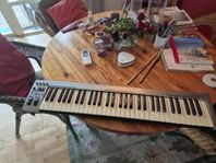 Midikeyboard ACORN Masterkey61