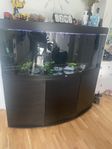 juwel  vision 450 liter
