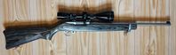 Ruger 10/22