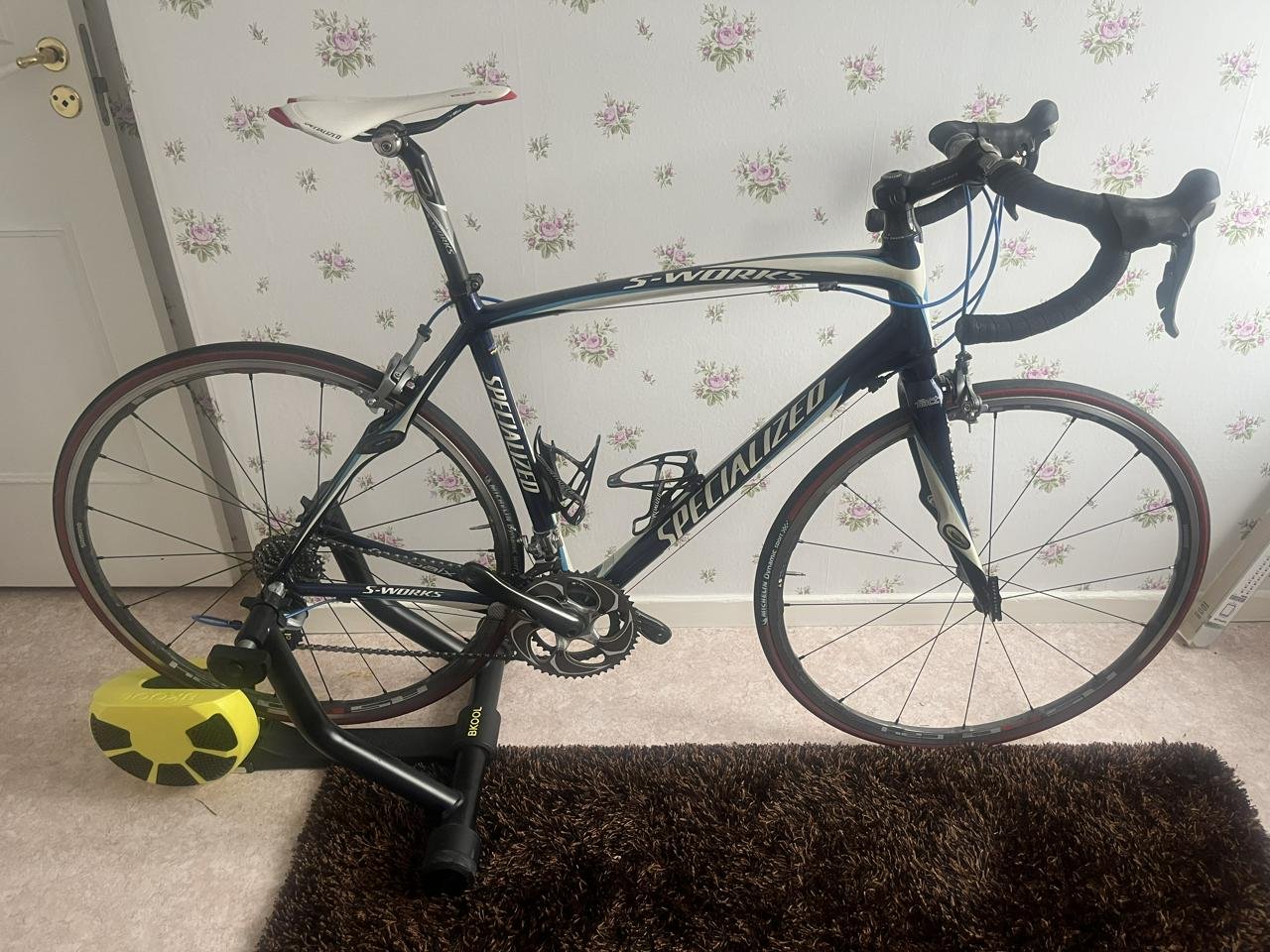Specialized roubaix sl