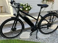 Batavus Zonar E-go elcykel