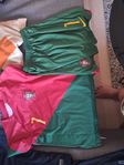 Ronaldo fotbol