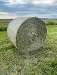 torrhö och hösilage 