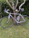 trek race alu
