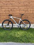 Specialized Rockhopper Expert XL