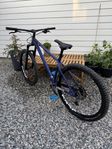 NS Eccentric Alu Evo 29” Large 
