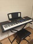WK-110 Casio piano/keyboard 