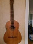 akustisk gitarr Landola