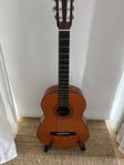 Akustisk gitarr