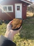 Fin chaga 