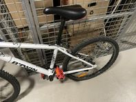 tonårs cykel