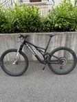 Specialized Stumpjumper S-works L (S4)