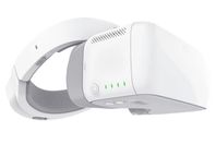 DJI Goggles