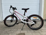 Serious Rockville 20” MTB