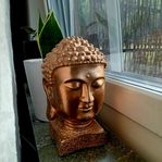 buddha staty