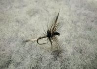 Mosquito #14 6pack torrfluga – för öring & harr