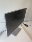Datorskärm HP E243 24 tum