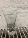 25 st shotsglas