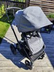 Bugaboo fox
