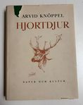 Hjortdjur