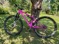 Superior team mono Elite, MTB