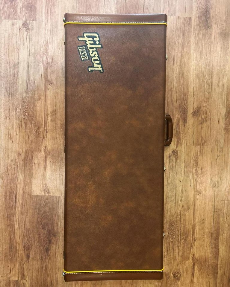 Gibson Explorer Hardcase