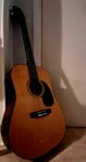 Akustisk Morgan gitarr med capo och gigbag