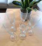 5 champagneglas