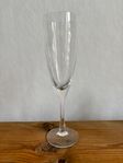 Champagneglas Chateau, Kosta Boda