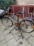 DBS Cykel kunglig.