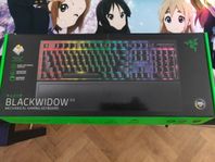 Razer BlackWidow V3 Mekaniskt Tangentbord (Gula Switchar)