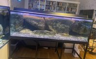 Akvarium 480L med tillbehör