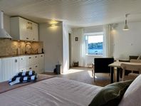 Seafront Studio Porat i Kroatien/Brac/Sumartin uthyrning