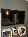 TV + Apple TV