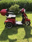 Eloped Elite Promenadskoter Permobil