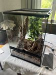Terrarium Exoterra 45x45x60